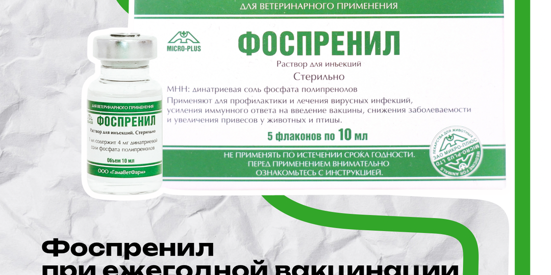 Вакцинация собак: как ежегодная вакцинация повышает уровень антител и защищает питомца