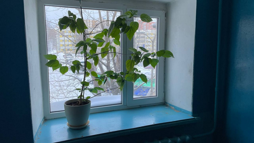    Автор фото - Анна Ефимова