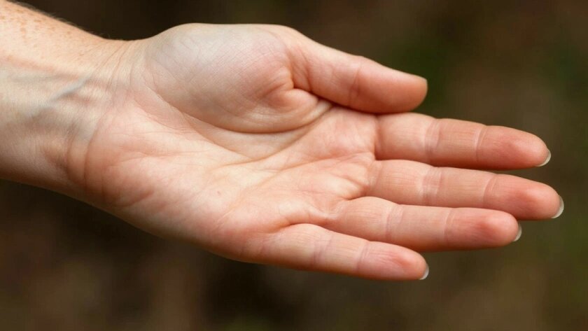    Создано в Шедевруме