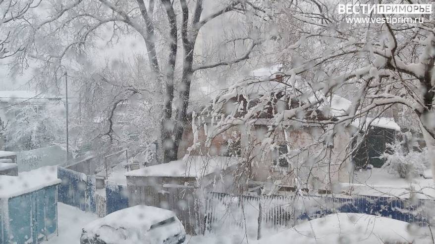    Источник фото: