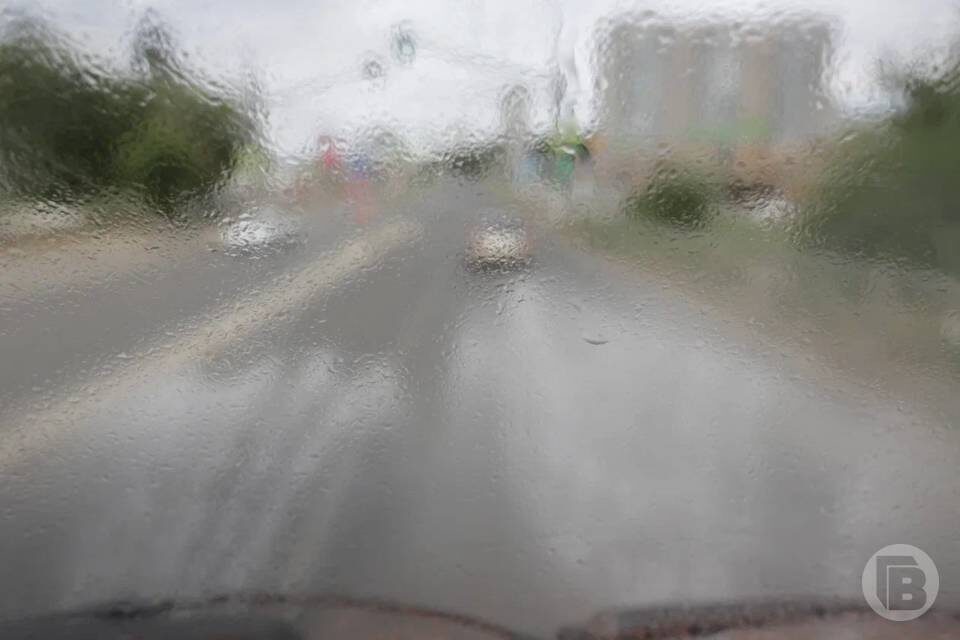    Фото: Дмитрий Рогулин/"Городские вести"