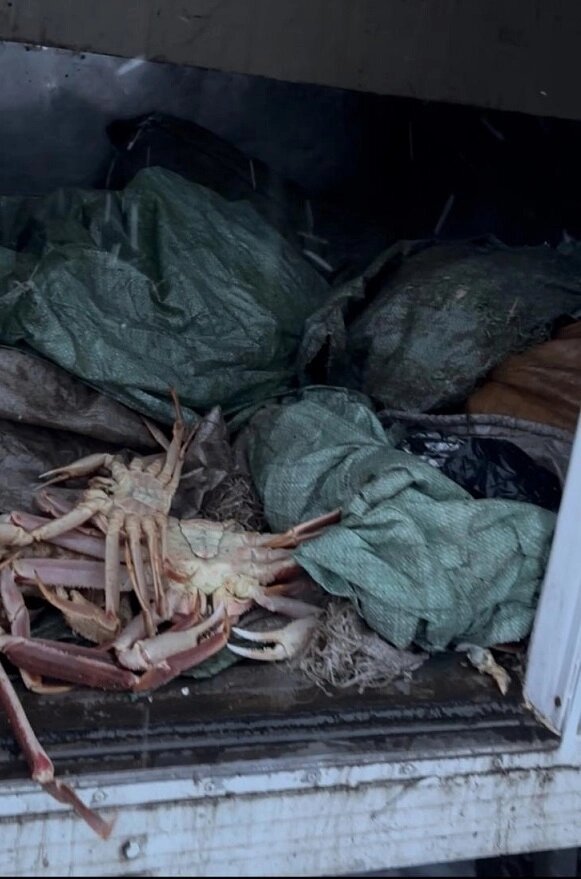    Фото: АиФ/ Татьяна Яковлева