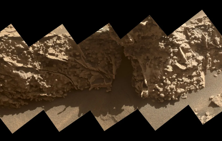 Эти бугристые наросты образовались из минералов, оставшихся после высыхания грунтовых вод на Марсе миллиарды лет назад. 21 августа 2025 года марсоход NASA «Кьюриосити» сделал снимки этих образований размером с горошину во время исследования геологических формаций, называемых «коробочными структурами». Фото: NASA/JPL-Caltech/MSSS