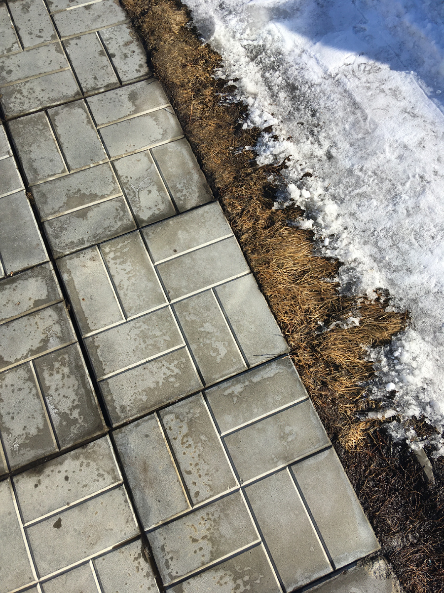 Это единственный признак наступления весны