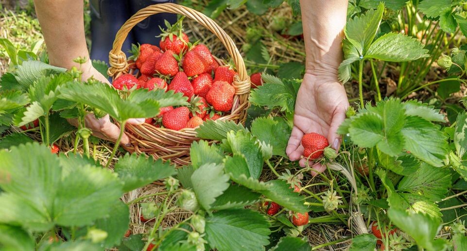    IMAGO/Zoonar.com/Vitalii Marchen / www.globallookpress.com