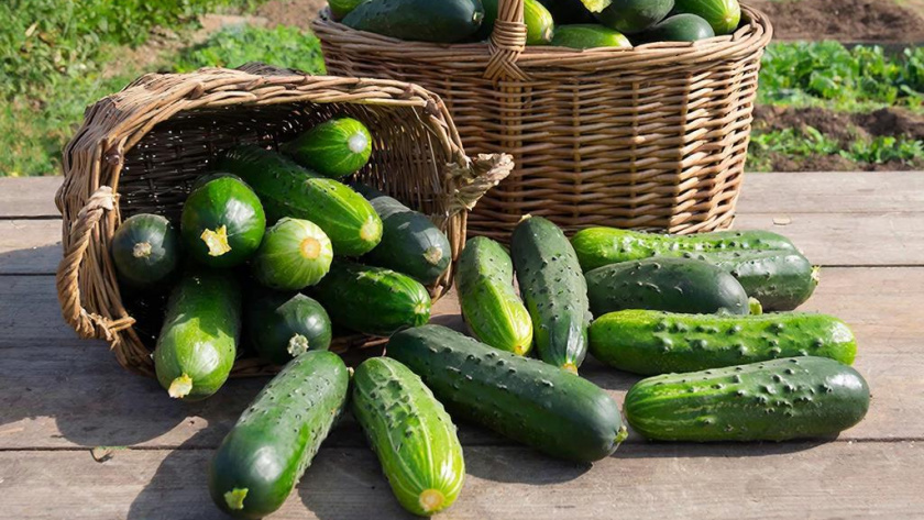    Создано нейросетями