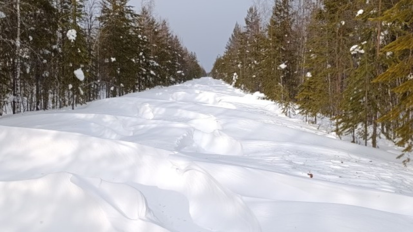    Фото Минприроды Коми