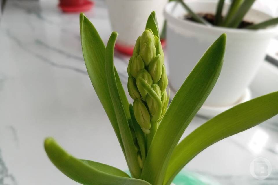    Фото: "Городские вести"