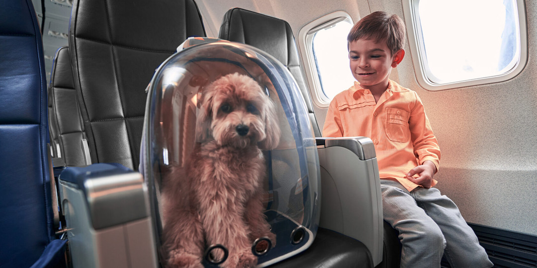Пассажиры Red Wings могут перевозить питомцев на соседних креслах