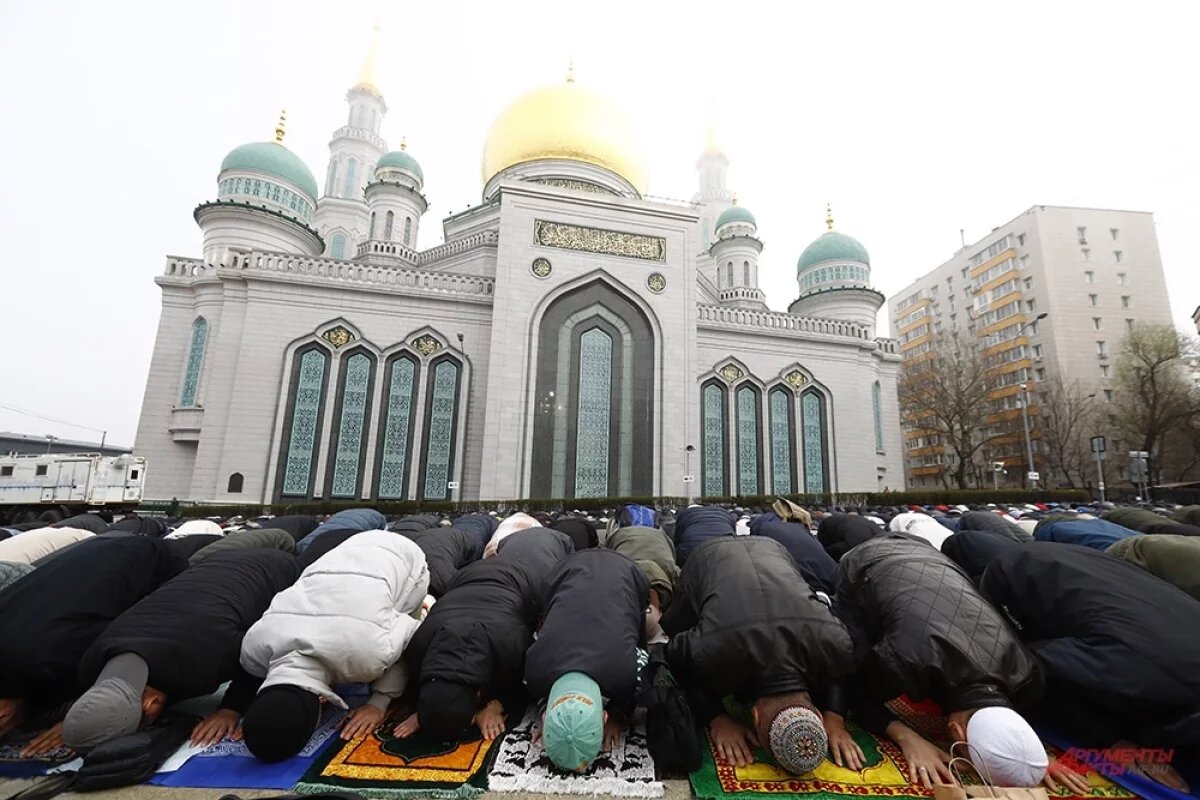   «Молитвы принимают больше».