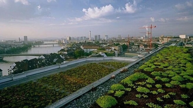 Diane Cook and Len Jenshel