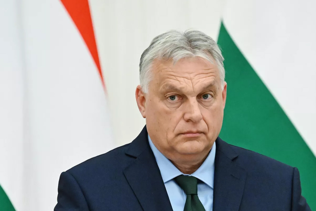    Фото: Алексей Майшев, источник: РИА Новости