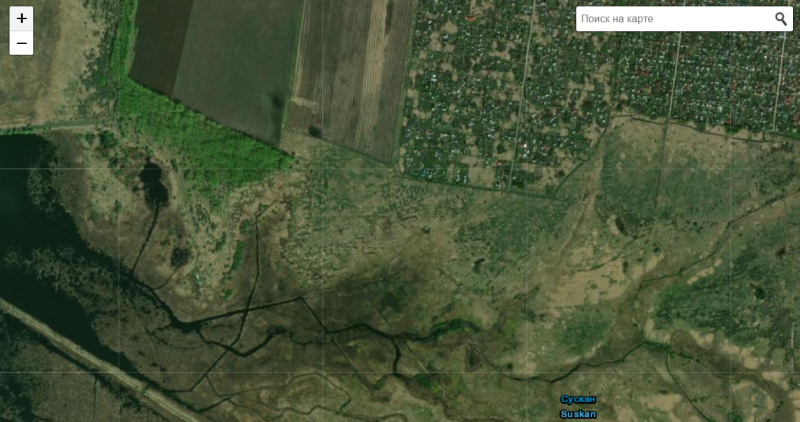 IQ (idiotic question): чем засадить тяжёлые почвы