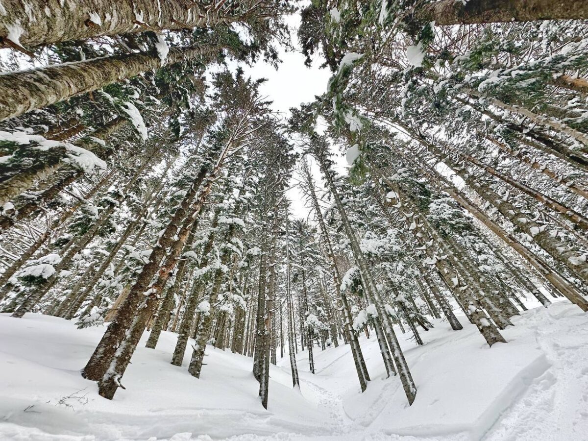 Фото: Наталья Краснова