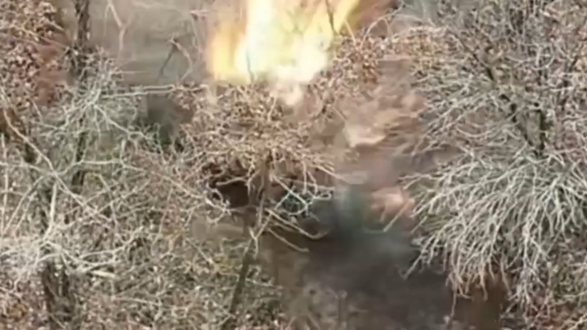    Дрон ВС РФ уничтожил замаскированный блиндаж ВСУ на Харьковском направлении – мониторинг