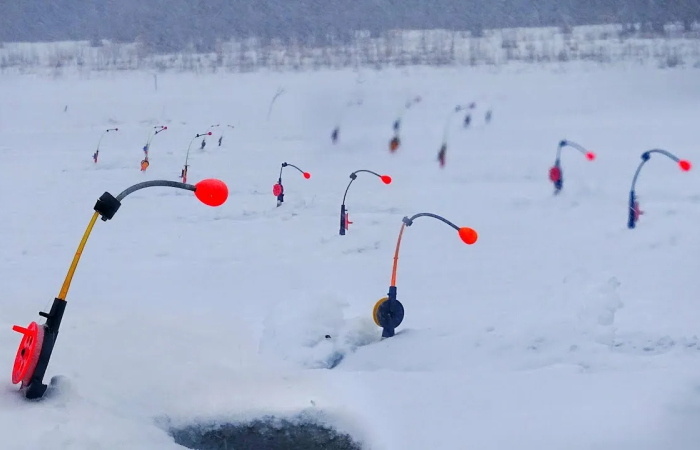 Философия множества лунок: когда труд на льду оправдывает улов
