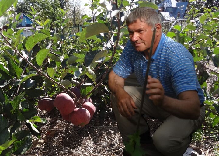 Сад, стелющийся по земле: история хабаровчанина Сергея Силина