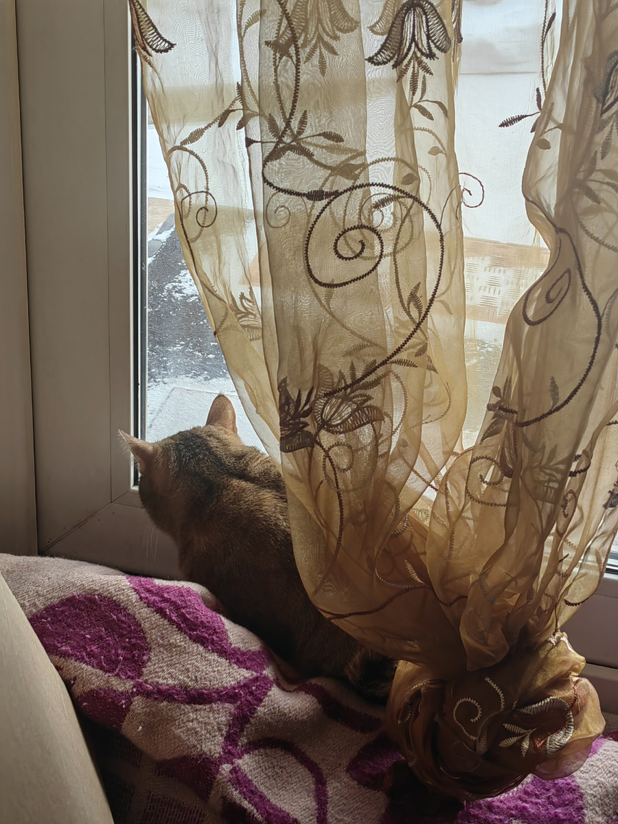 Там, за дверью Бусина любовь