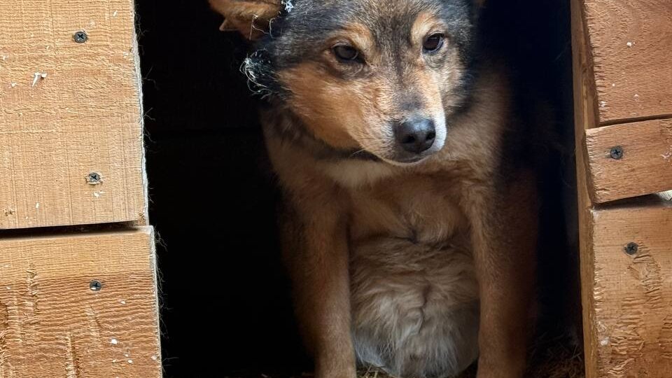 Со страхом смотрим в будущее...