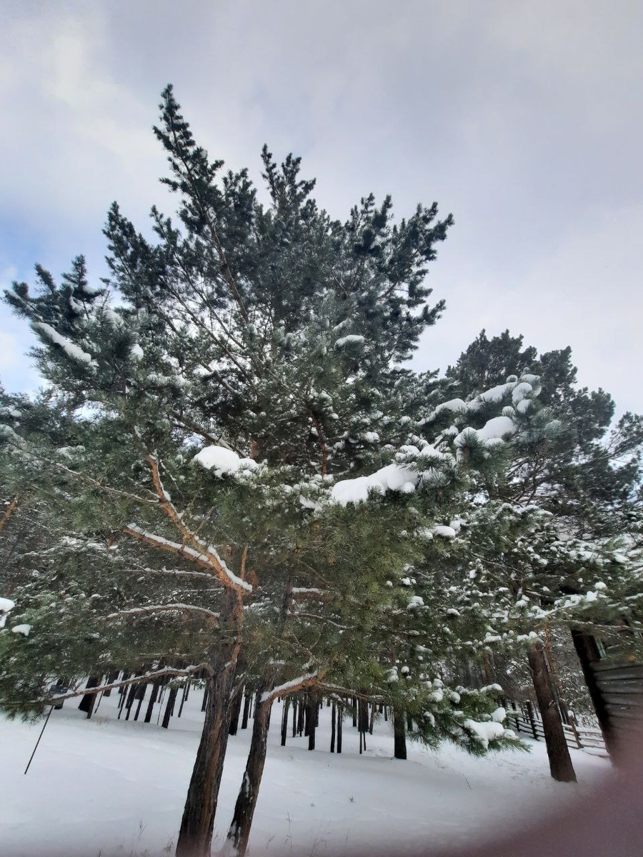 Фото автора.