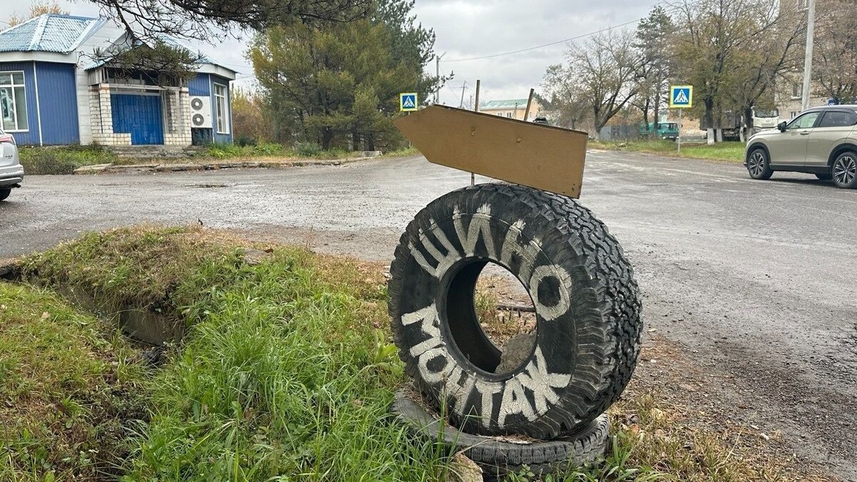   vostokmedia.com