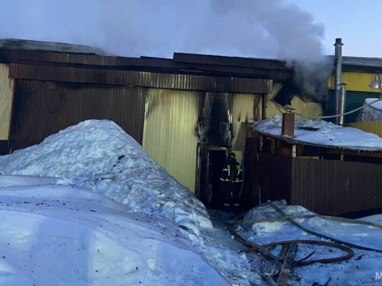     Фото: МЧС России