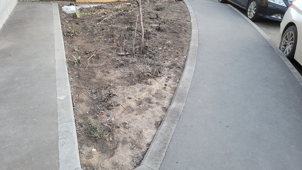 Снег растаял.