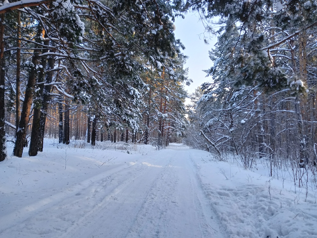 Снега в этом году много