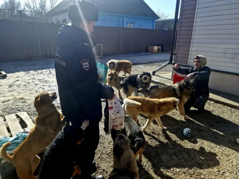     Фото: 31.мвд.рф