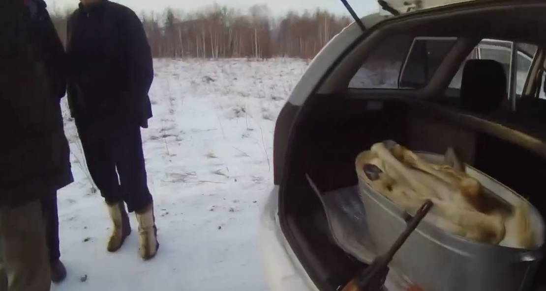 скриншот видео Минприроды Хакасии