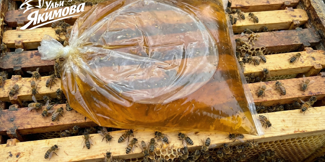 Сахарный сироп для пчёл за и против