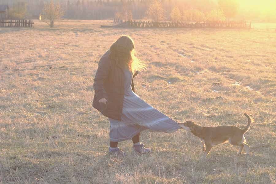 майская борьба с собакой Рамиком за уходящее холодное солнце