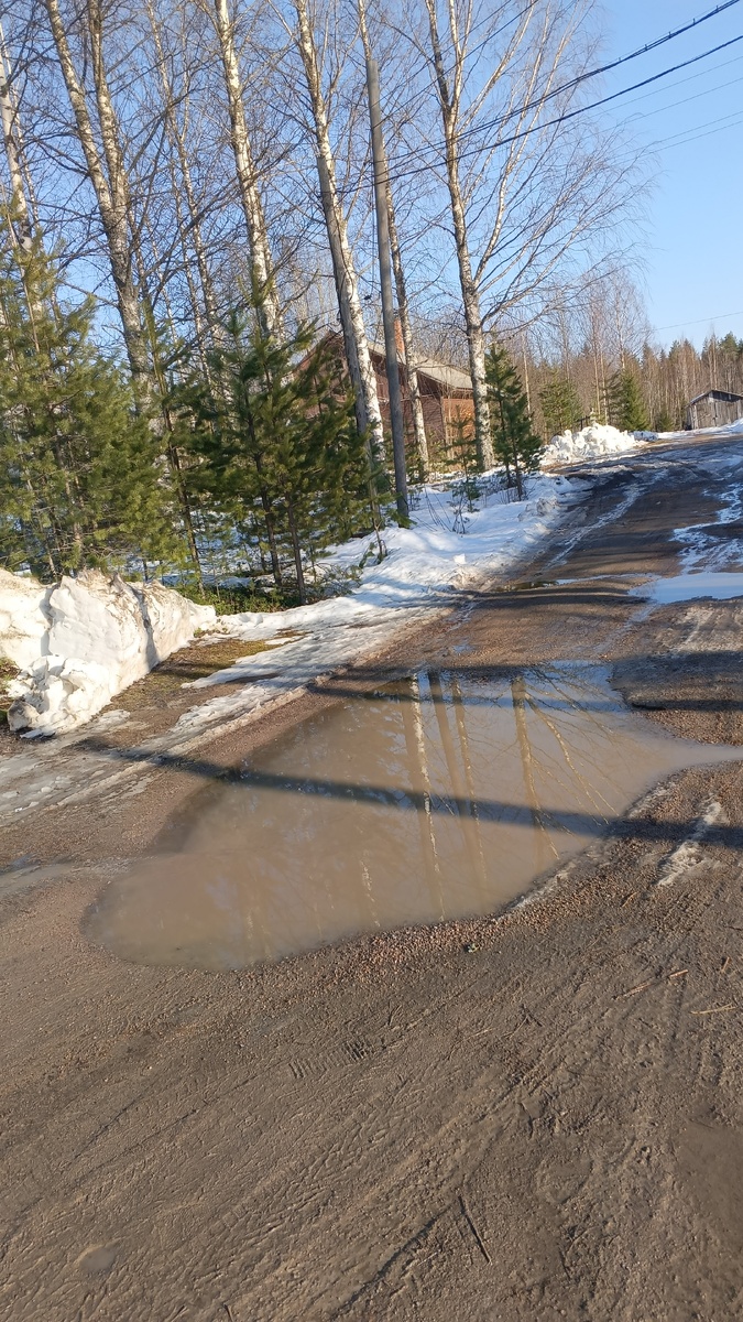фото автора: так бывает всегда весной