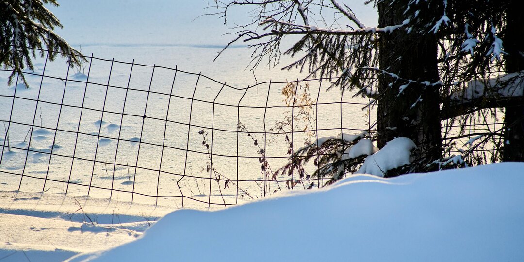 Где-то весна полным ходом, а где-то от весны только солнце