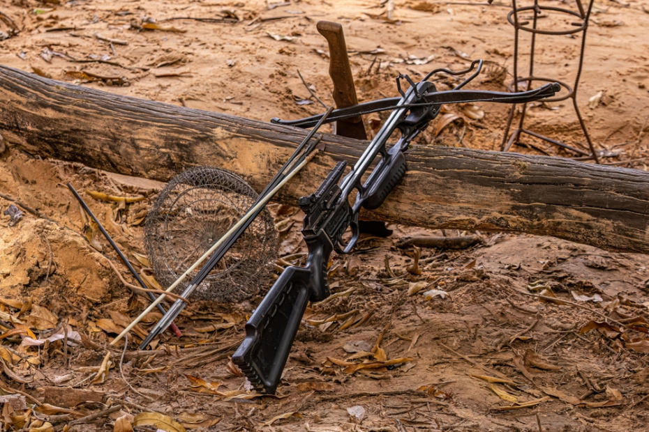    Shutterstock/FOTODOM