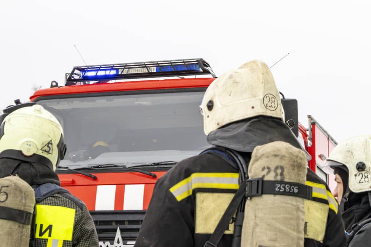 Фото: Егор Снетков / Коммерсантъ