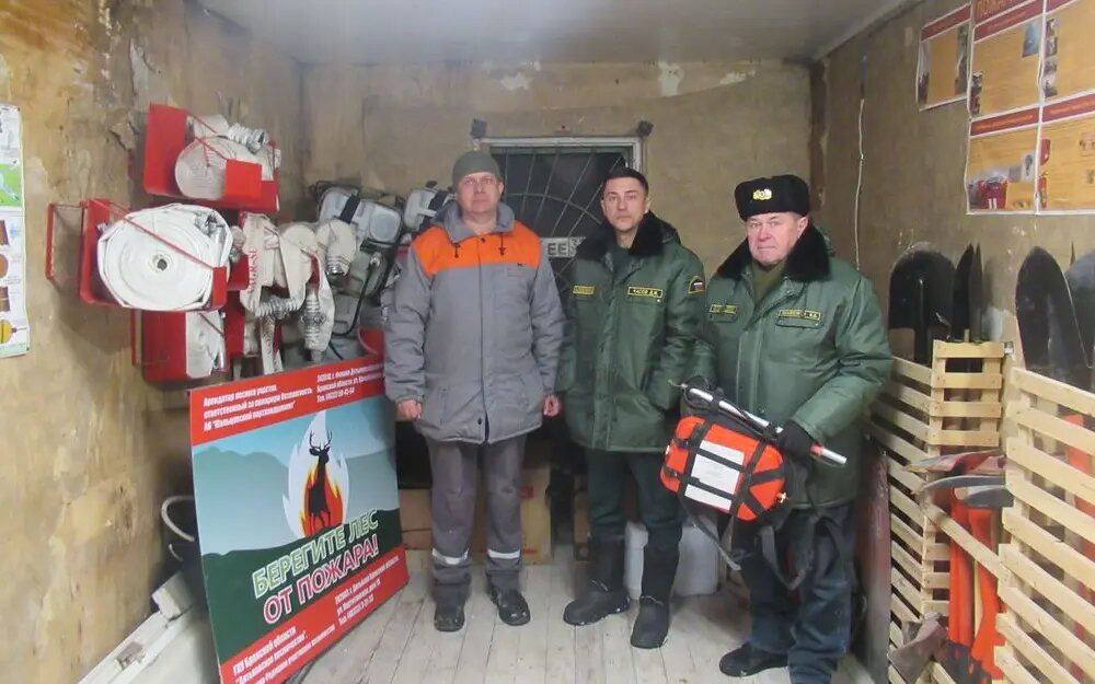    Фото: Управление лесами Брянской области