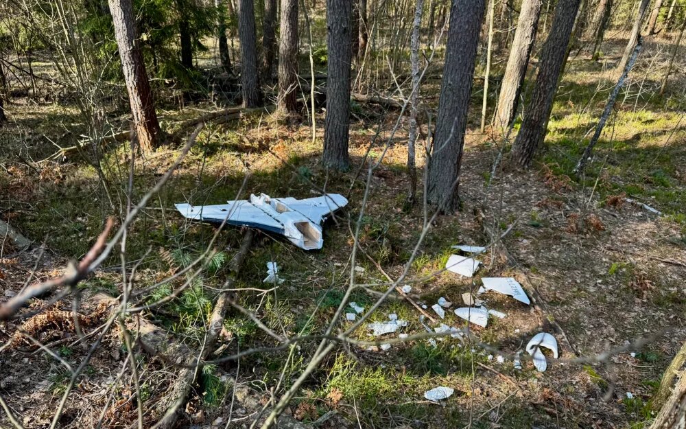    Фото: "Брянские новости"