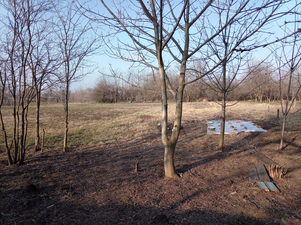 Работы в новом огороде продолжаются 