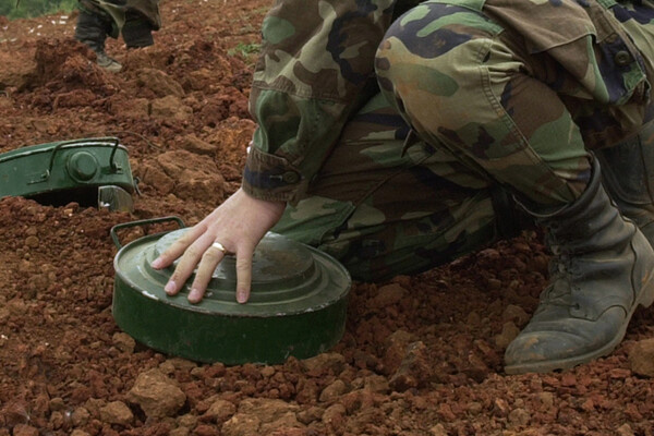 commons.wikimedia.org   📷