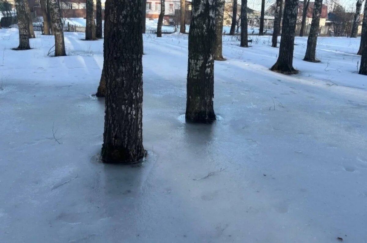    16 марта в Коми потеплеет до +12 градусов