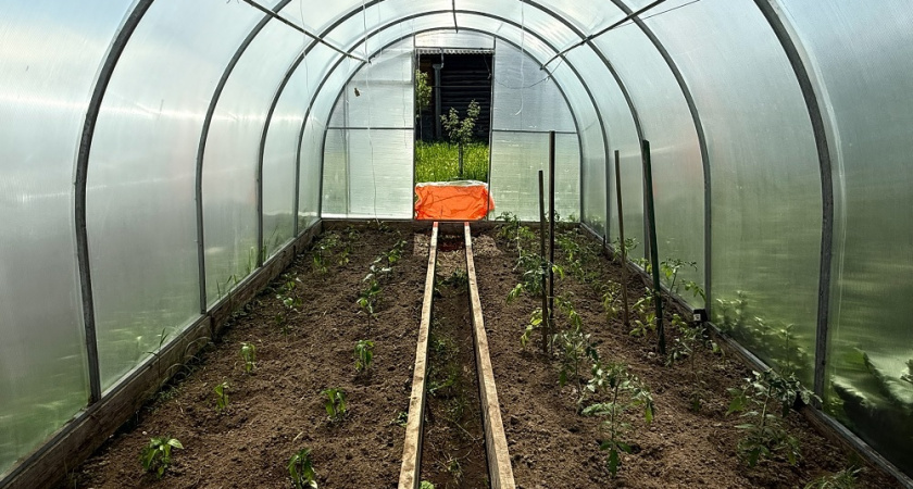 Теплица к новому сезону: полная подготовка после зимнего перерыва
