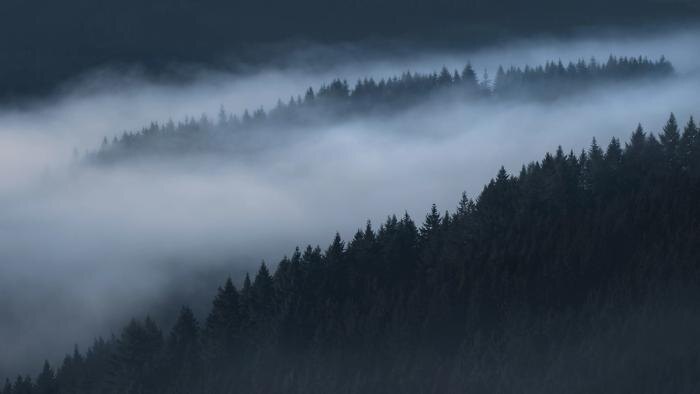 Обложка © Shutterstock / FOTODOM / Leny Silina Helmig