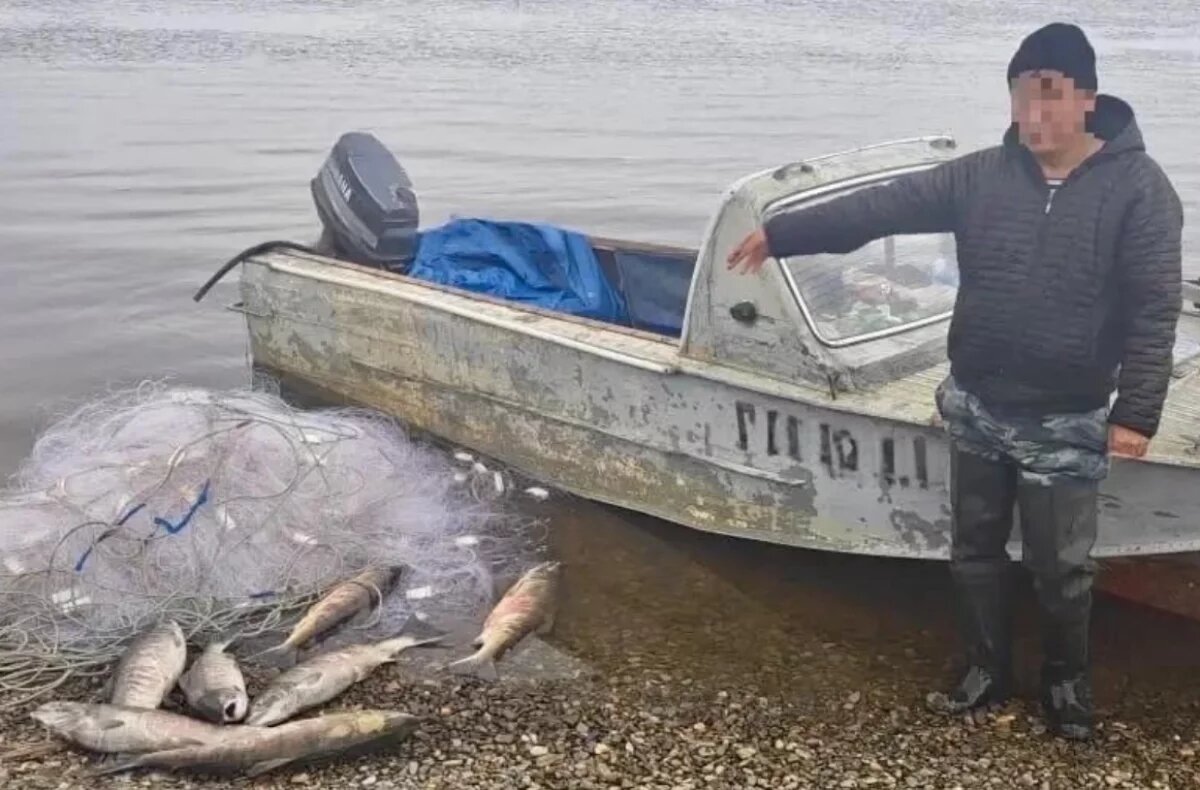    Двоим хабаровским рыбакам грозит срок за вылов кеты