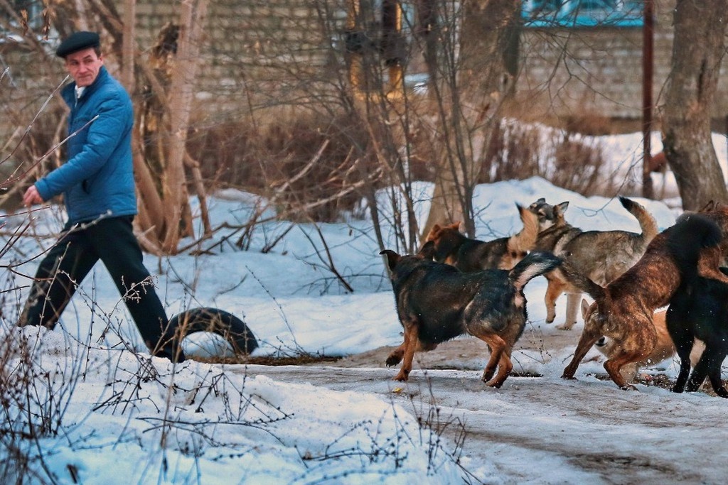    Фото © Владимир Смирнов / ТАСС