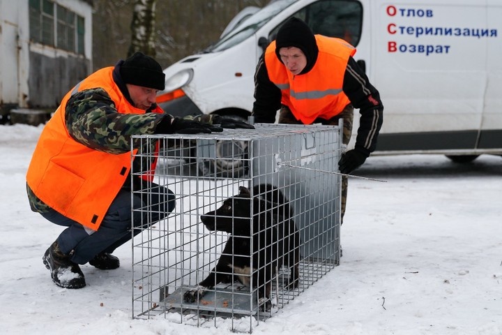  Фото © Виталий Невар / ТАСС