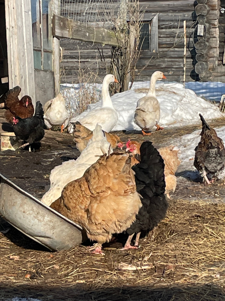 Вкусно по-видимому 🙂