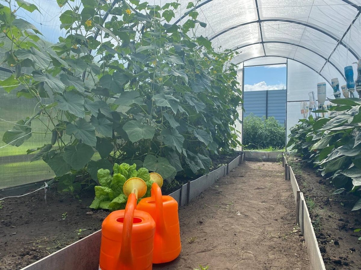 Фото из архива ОТС-Горсайт 