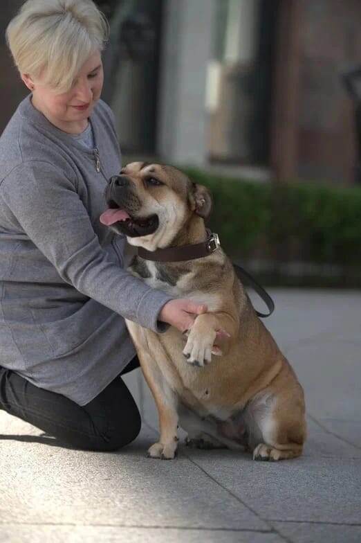 питомник "ЭЛКАДЕ ПЕРО" Санкт-Петербург