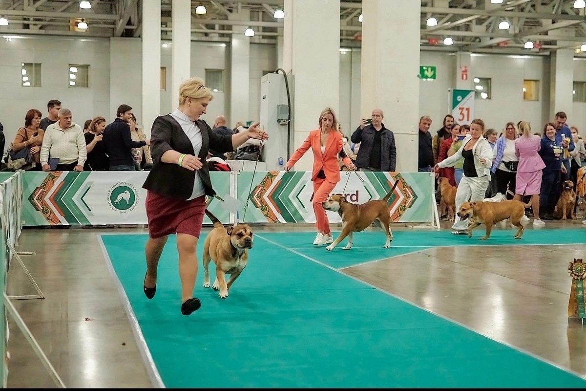 выставка ЕВРАЗИЯ 2024г